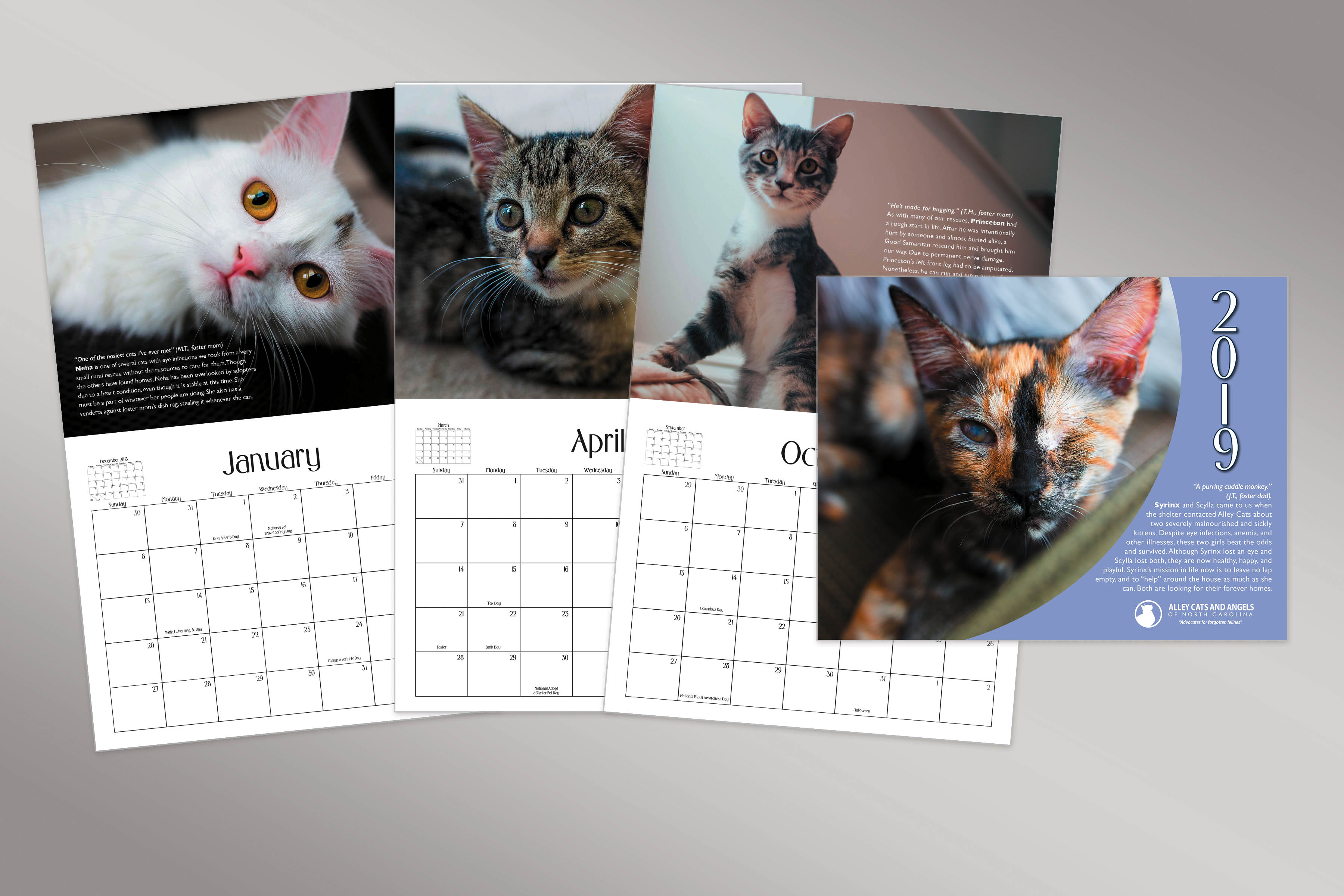 Calendar